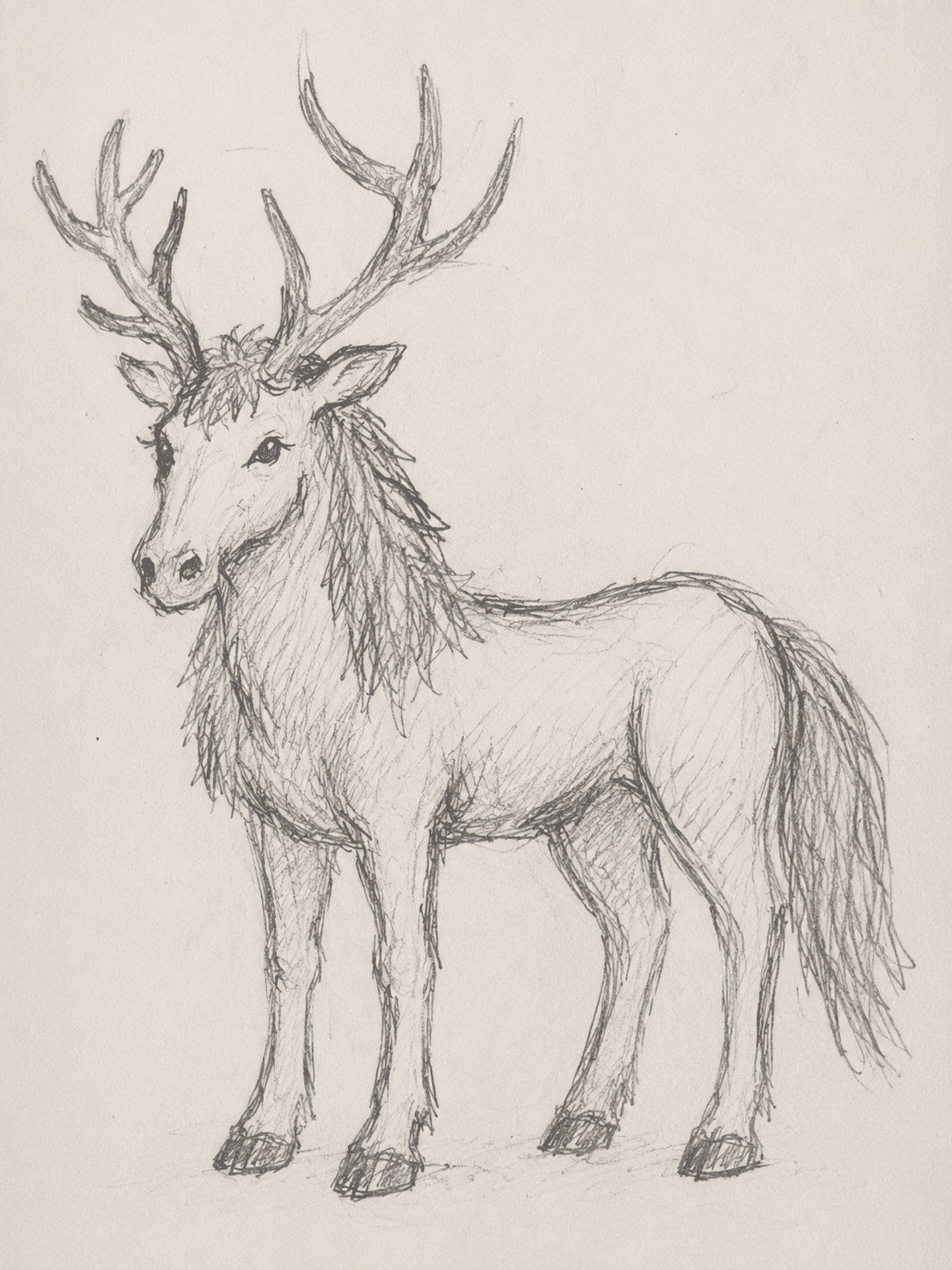 Joshua’s pencil sketch of an antlered Braylen