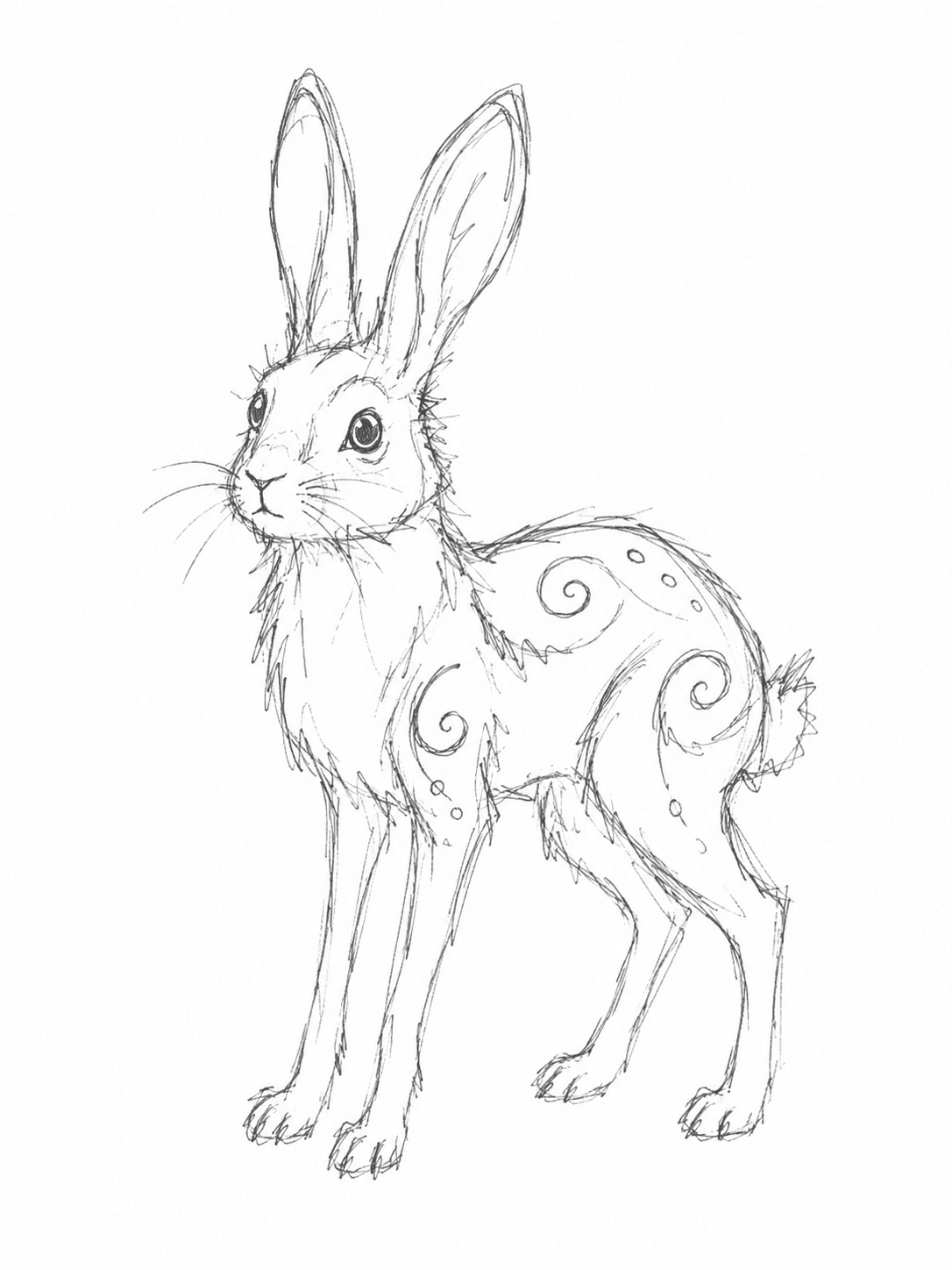 Joshua’s pencil sketch of a long-eared Elendor creature called a Heelderli